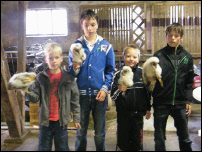 vogelwacht uilen 033.JPG