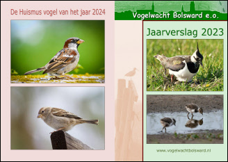 jaarverslag_2023_Web.pdf